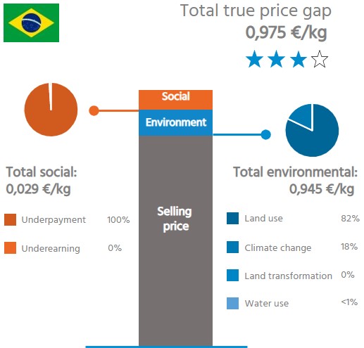 Impact Brazilian Coffee