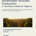 avocado header true price